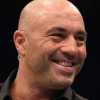 joe rogan